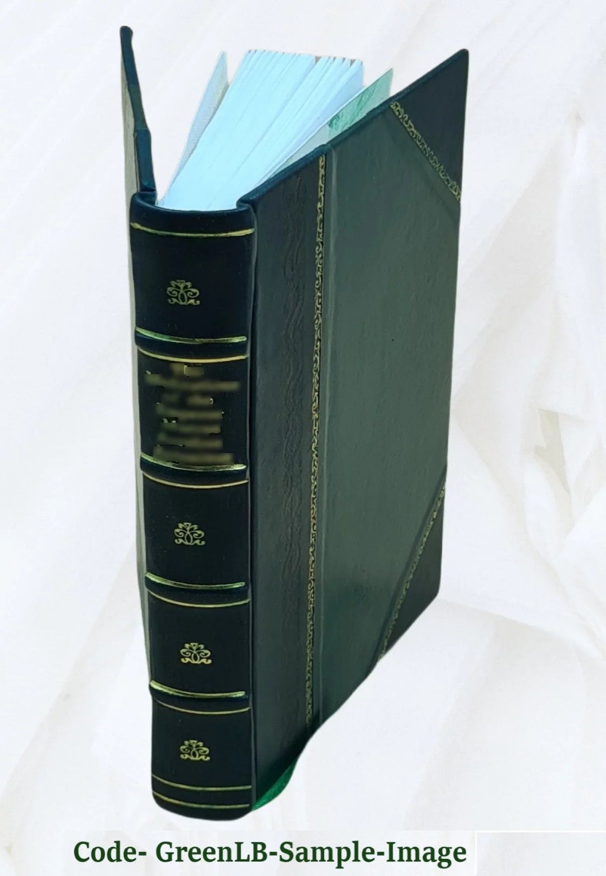 Great cities of Europe. First [-second] series. By Esther Singleton ... Volume v. 1 1913 [Leather Bound]