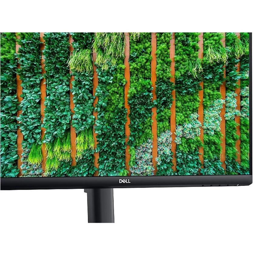 Dell  23.8" Full    Monitor - 16:9