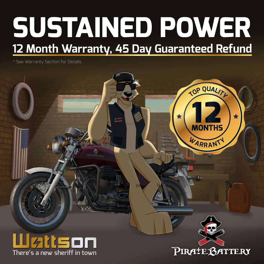 Pirate Battery - (16L- 12 Volt,14 Ah, 230 ) Jet Ski Battery for Kawasaki 300cc Js300 Ts Sx 1991