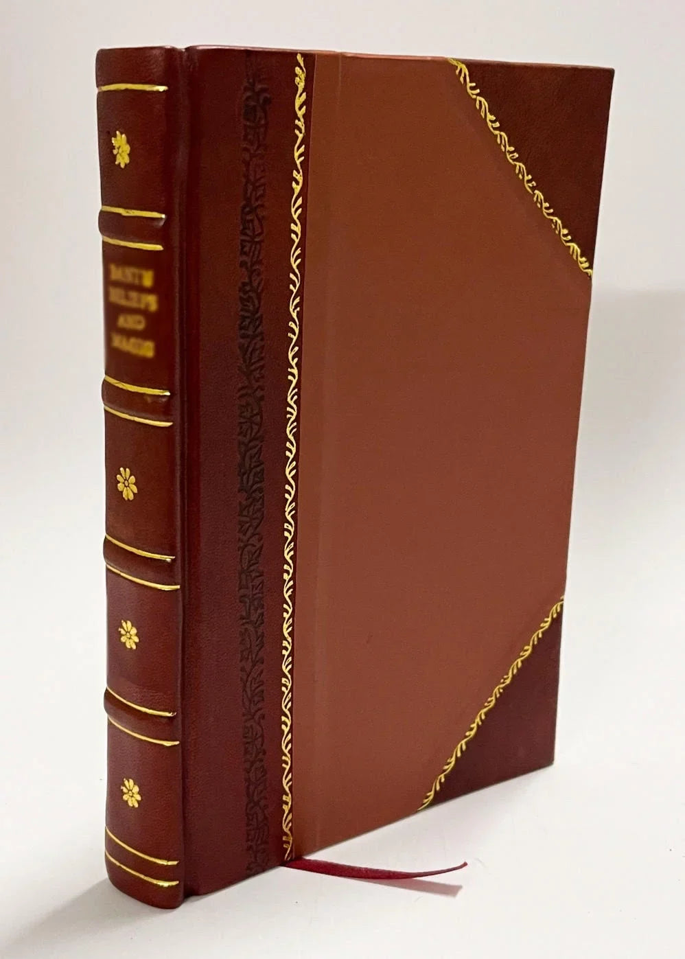 Ragione 'Alcune Cose Segnate Nella Canzone 'Annibal Caro. Venite a 'Ombra De Gran Gigli 'Oro / 1573 Edition (1573) [Leather Bound]